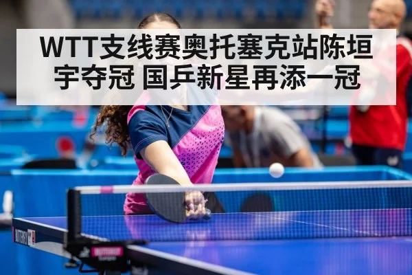 table tennis champion - 9game app
